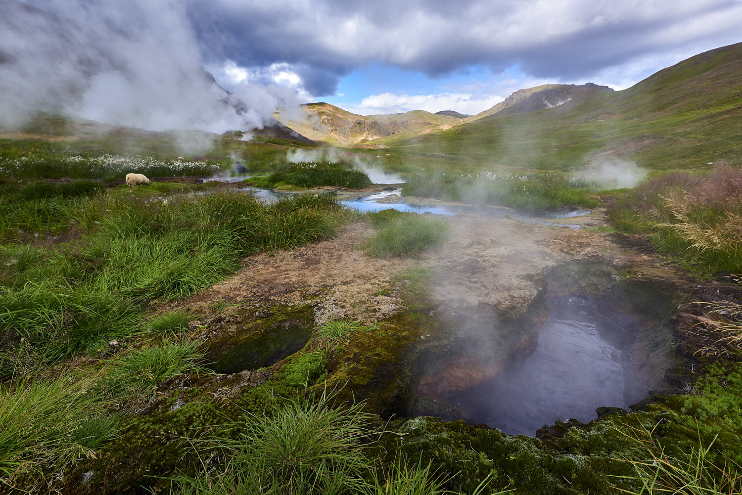 Reykjadallur, Iceland: Wide angle shot of borehole in Reykjadalur, in the Steam Valley, with steam rising with mountains in the background.