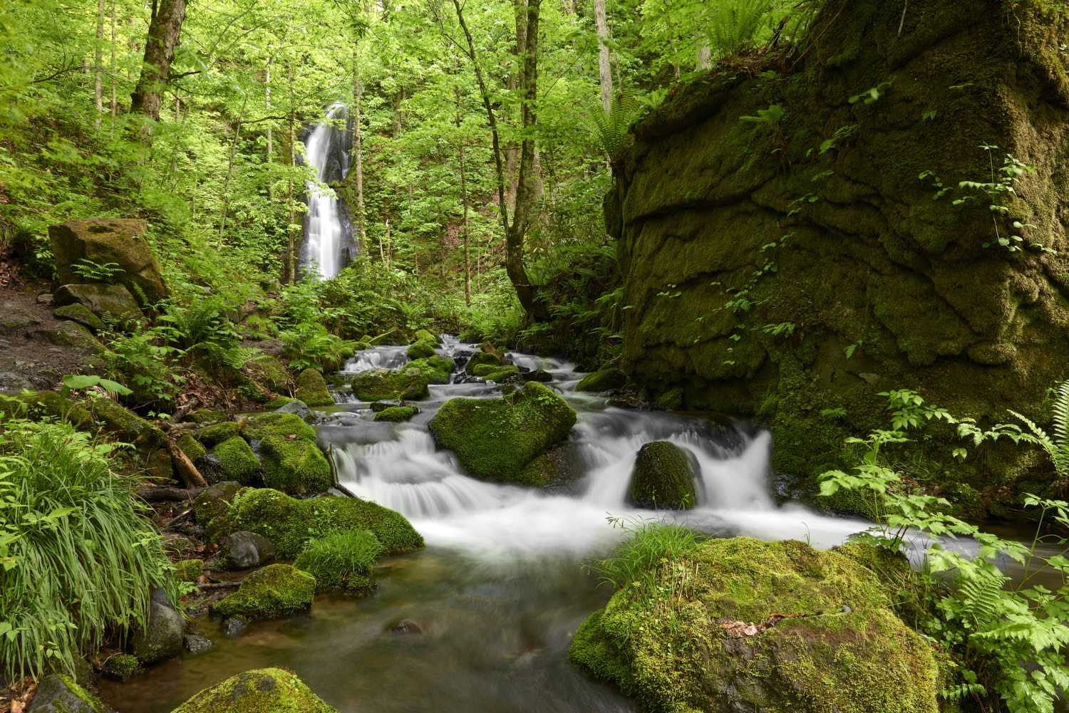 Oirase Keiryu Stream, Towada National Park, Japan: The stream walk is 14km long and features a series of currents and waterfalls.